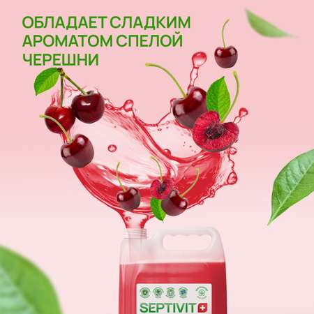 Мыло жидкое SEPTIVIT Спелая черешня 5200 г 5000 мл