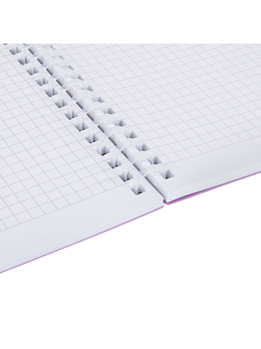 Общая тетрадь Brauberg клетка 80 лист. - фото 7