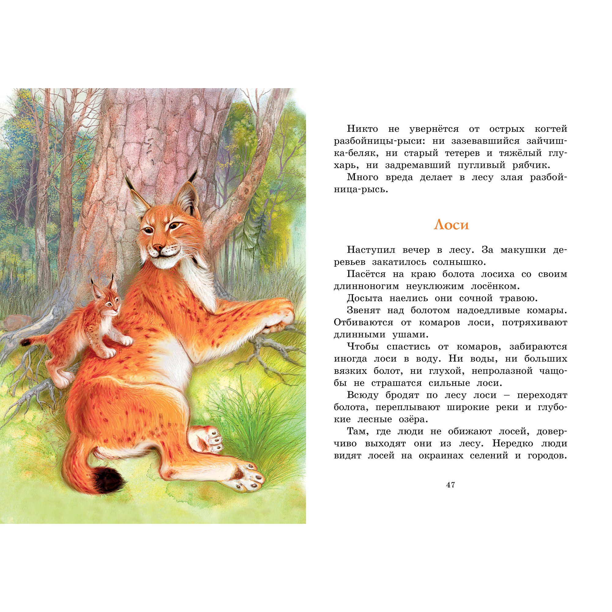 Книга МАХАОН Год в лесу. Рассказы о природе Соколов-Микитов И. - фото 7