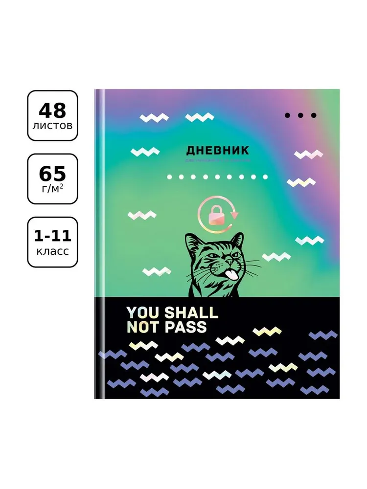 Дневник школьный BG 1 11 класс для мальчика и девочки 48 листов твердая обложка - фото 1