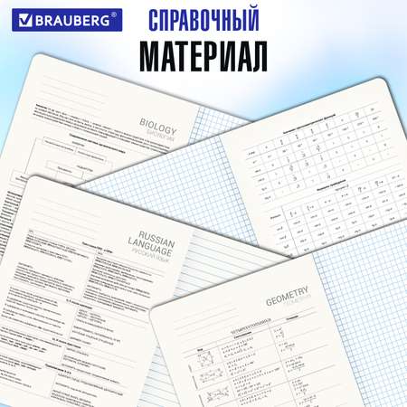 Тетрадь Brauberg 48 лист. 12 шт.