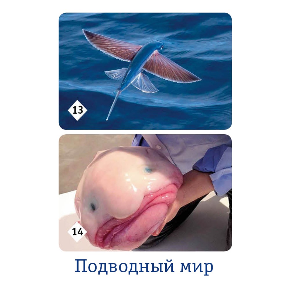 Настольная игра Нескучные игры Мемо - фото 9