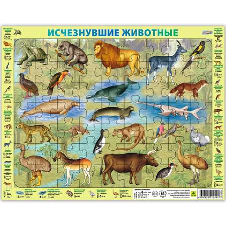 Пазл РУЗ Ко классический
