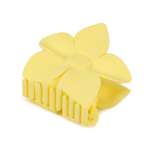 Заколка Demi Star