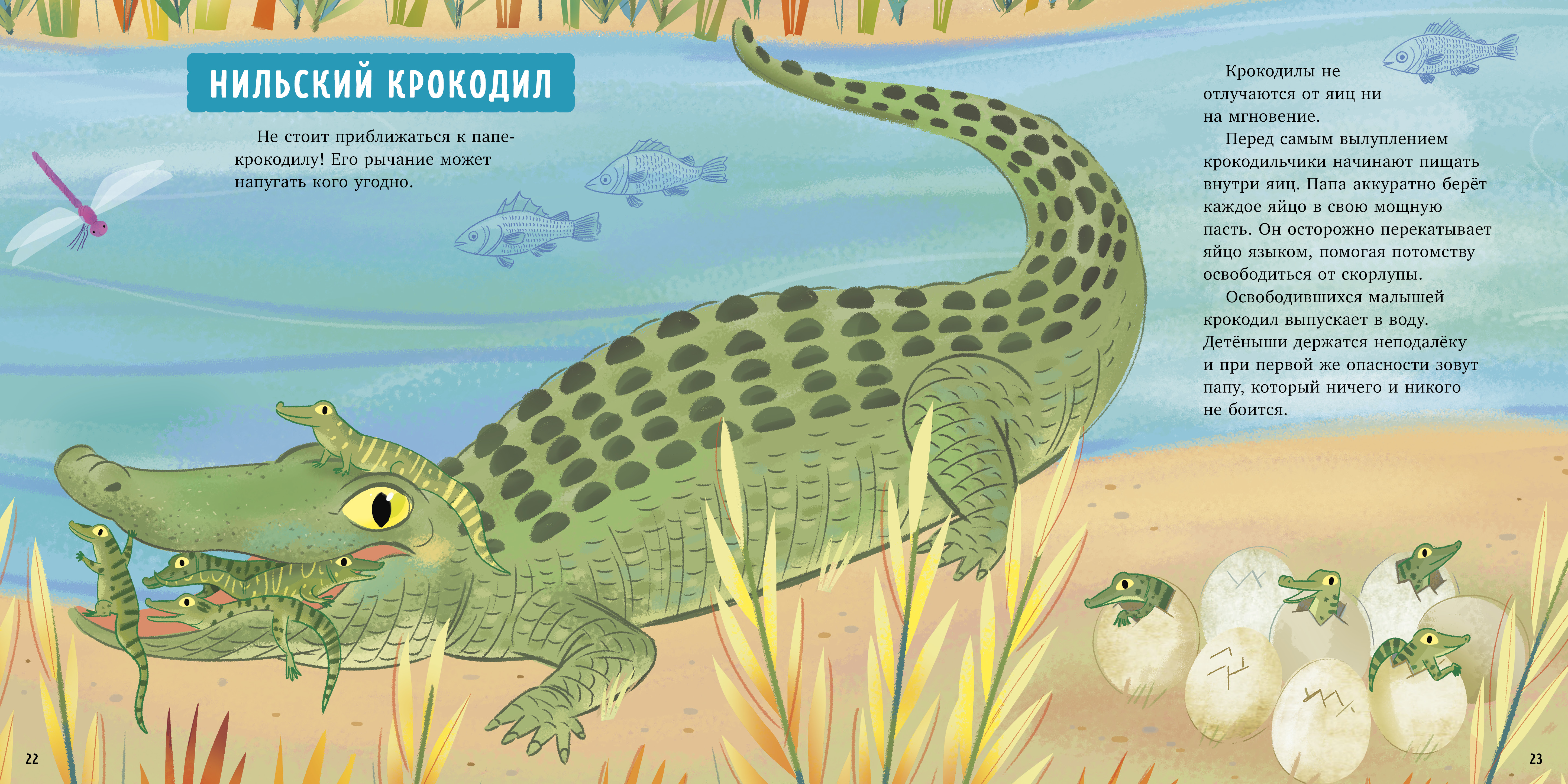 Удивительные животные Clever Книга - фото 4