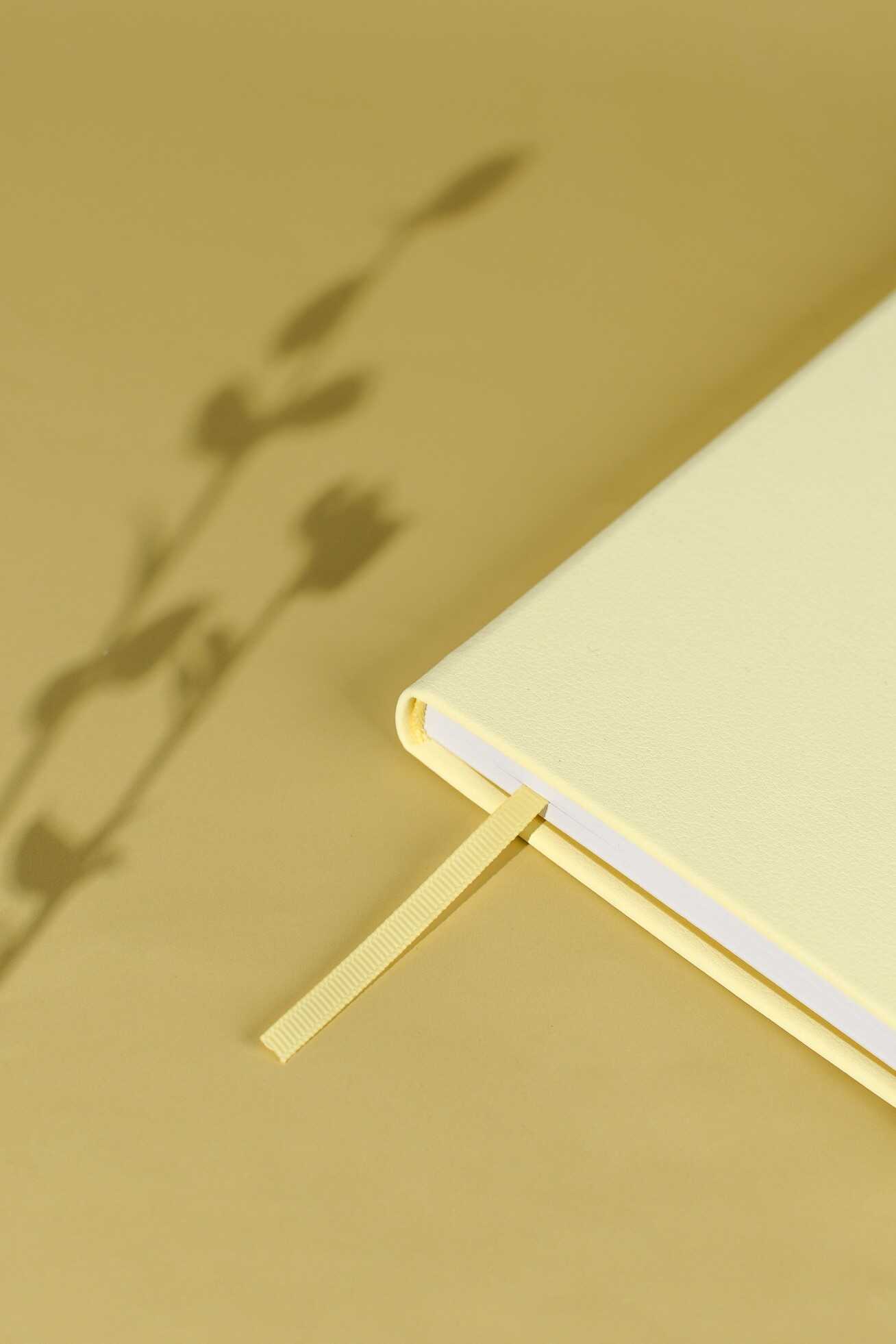 Записная книжка Феникс + ESCALADA 120 лист. - фото 15