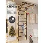 Шведская стенка BORABO PRO с турником и навесным оборудованием