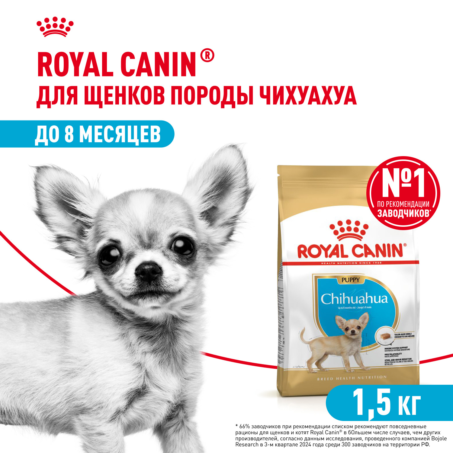 Корм для щенков ROYAL CANIN Junior породы чихуахуа 1.5кг - фото 1