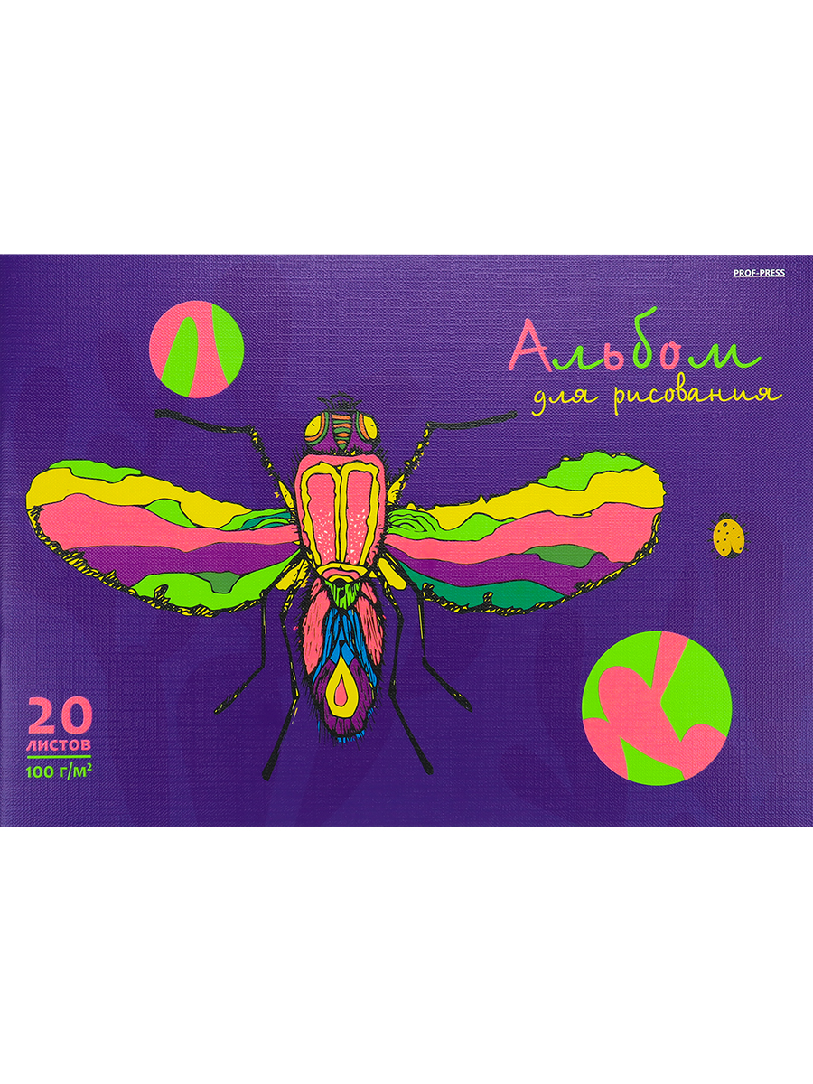 Альбом Prof-Press А4 20 лист. 2 шт. - фото 7