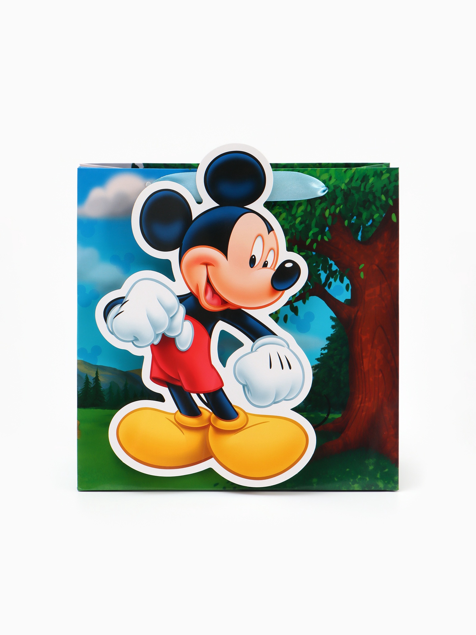 Пакет подарочный Disney Мышонок 22 × 22 × 10 см - фото 3