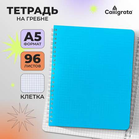 Тетрадь Calligrata клетка