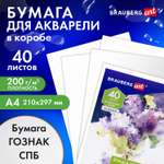 Художественная бумага Brauberg для акварели 40 лист.