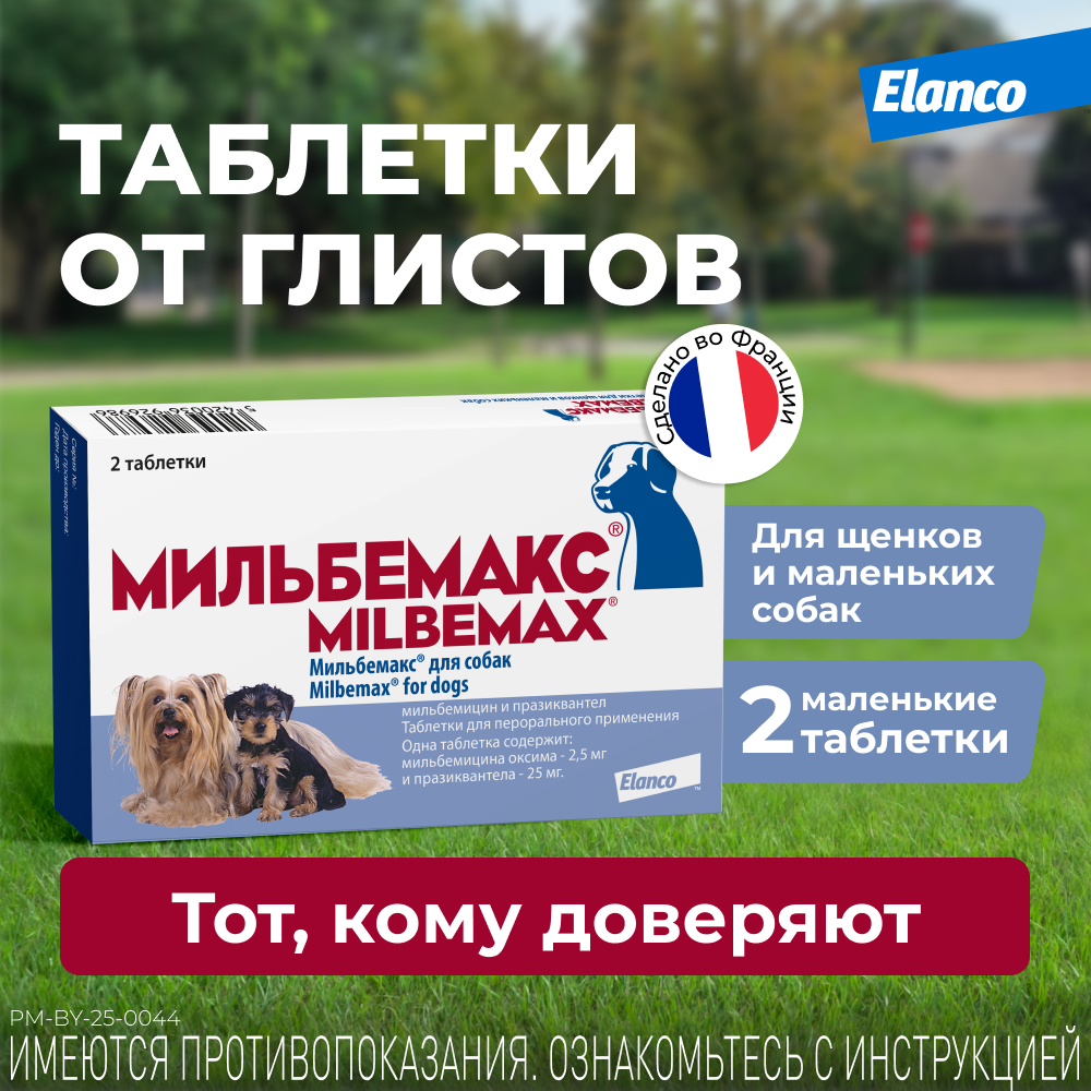 Антигельминтик для щенков и собак Elanco Мильбемакс малых пород 2таблетки - фото 2