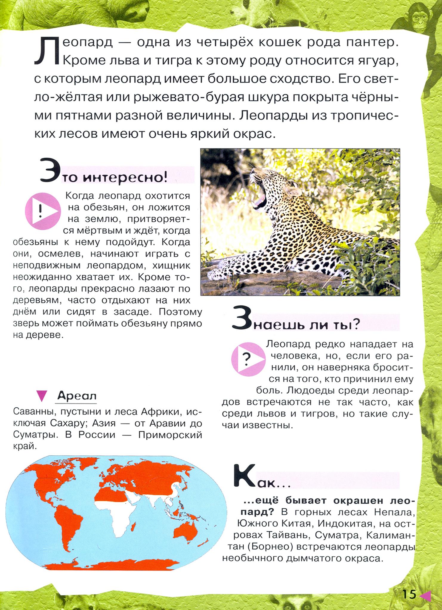 Книга Лабиринт В лесу в жарких странах рядом с нами - фото 6