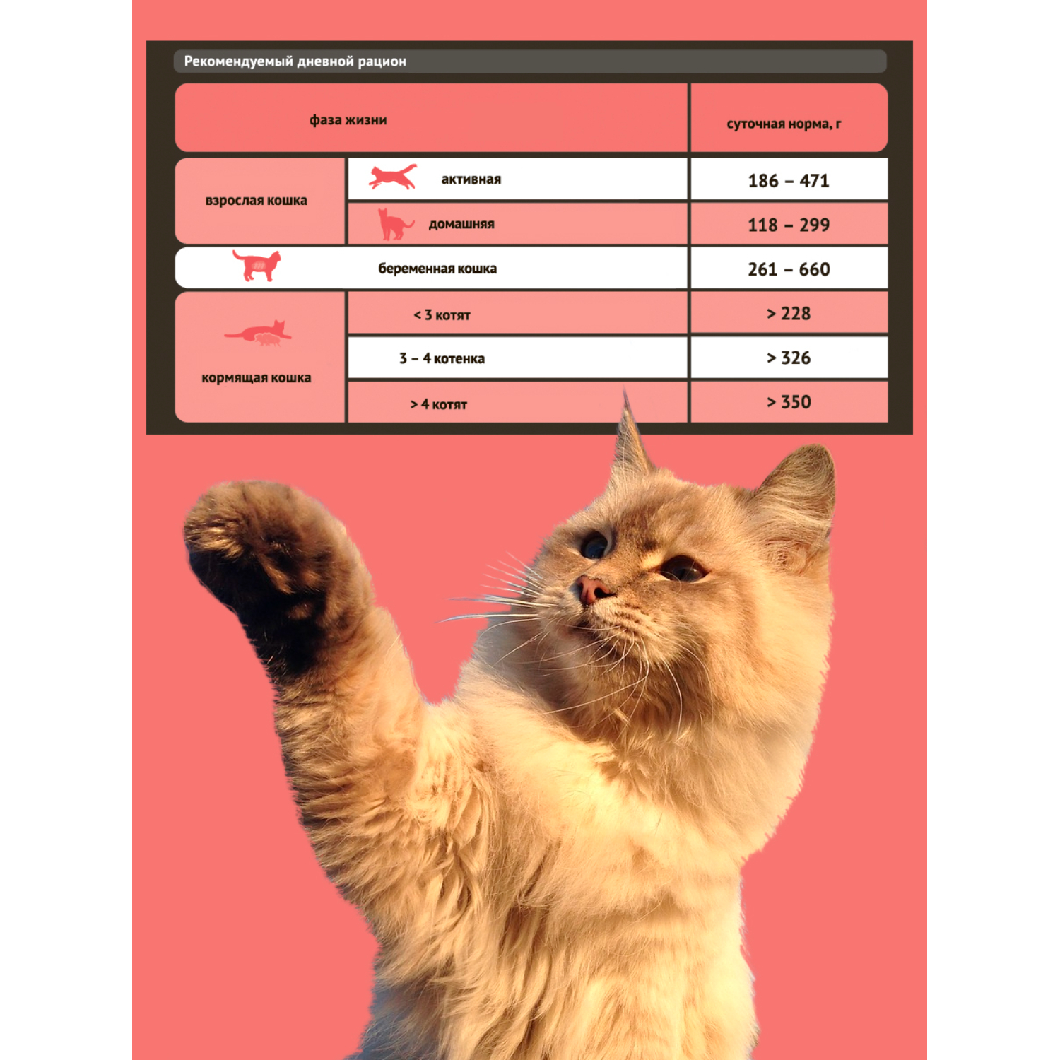 Корм для кошек Probalance 415г Active для активных ж/б - фото 3
