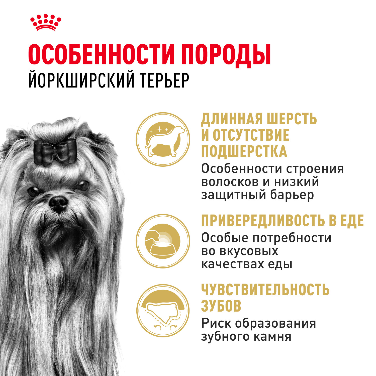 Корм для собак ROYAL CANIN породы йоркширский терьер 3кг - фото 2