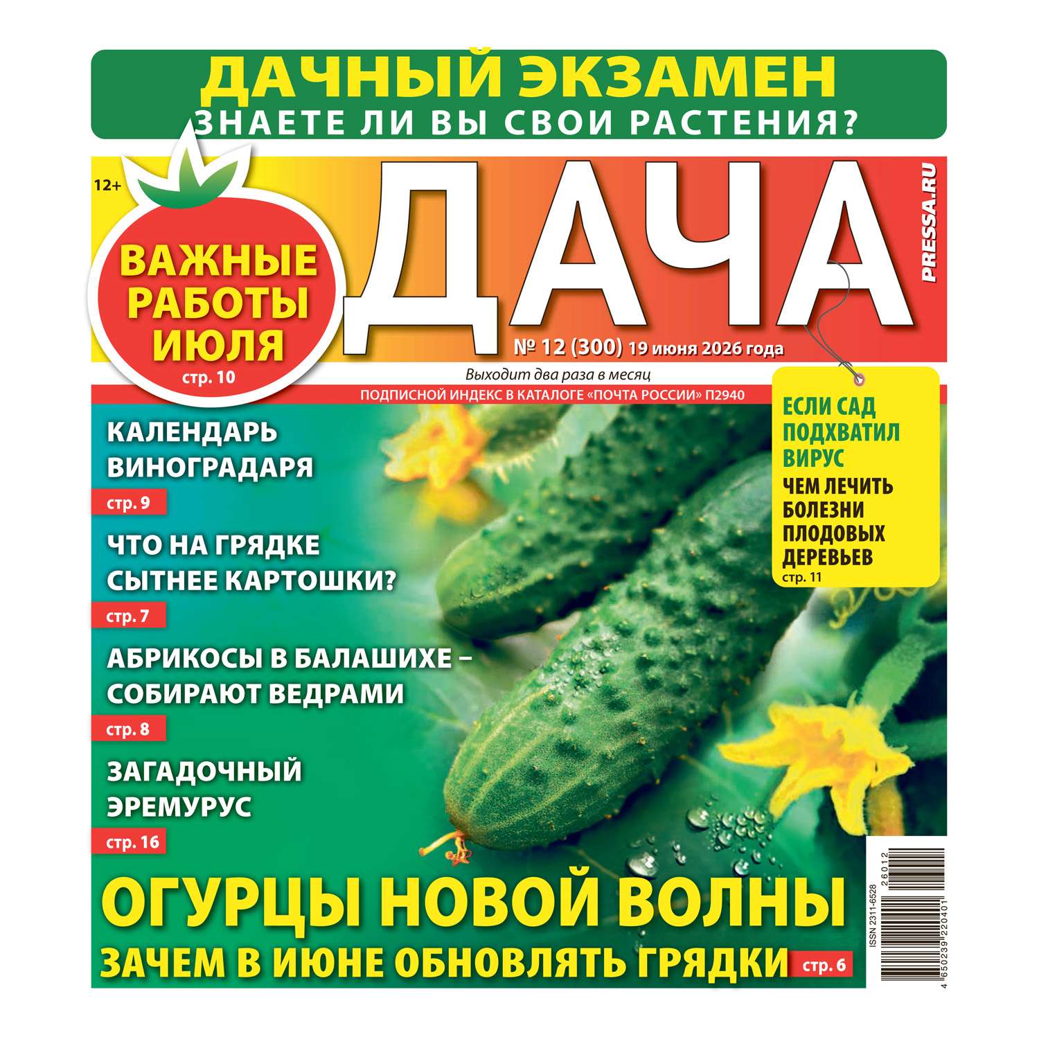 Газета Дача Pressa.ru - фото 1