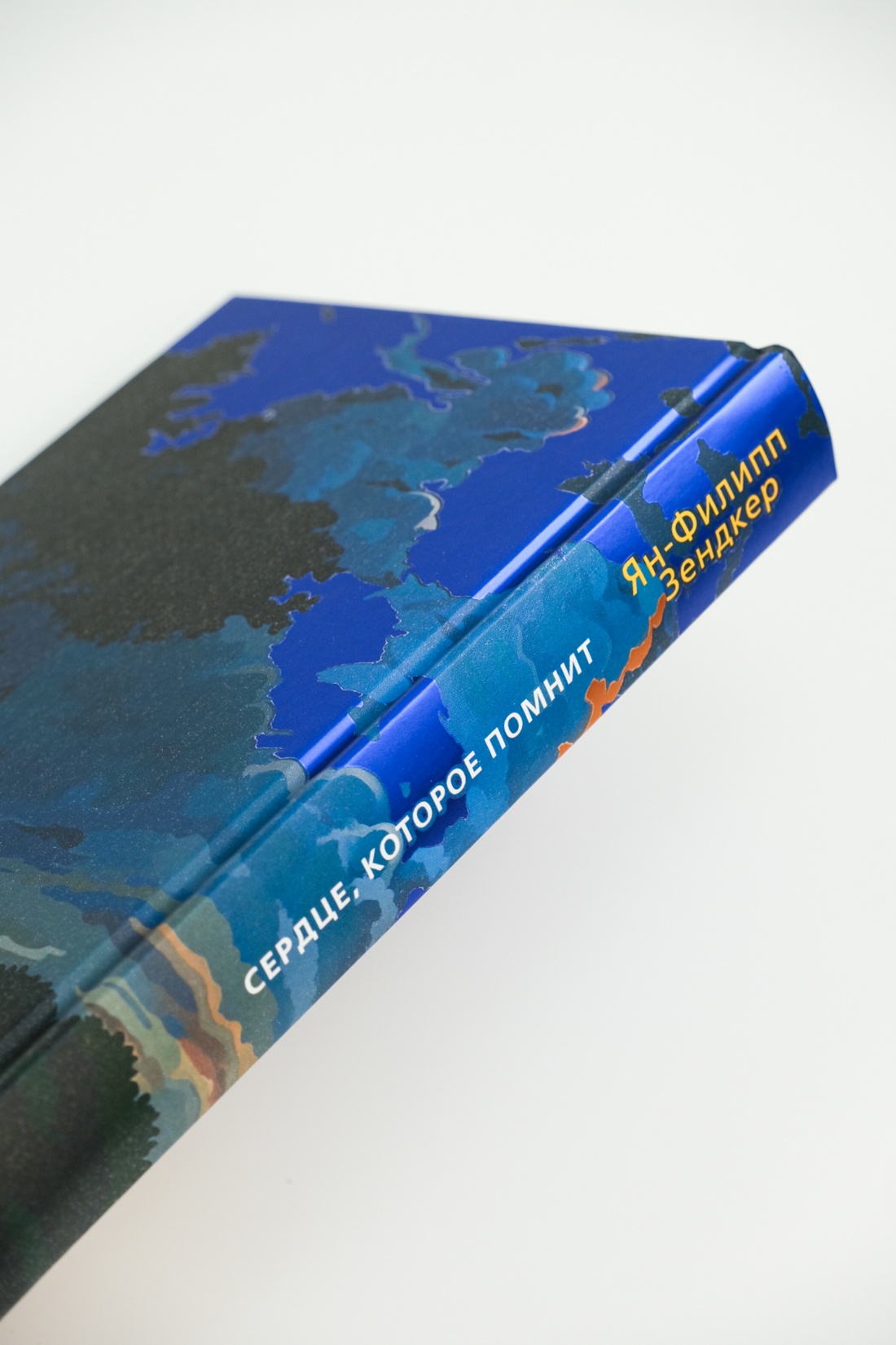 Книга АЗБУКА Эмоцио/Зендкер Я.-Ф./Сердце, которое помнит - фото 12