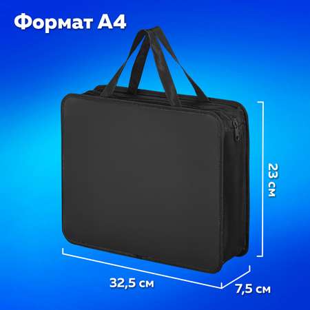 Папка для тетрадей Пифагор А4