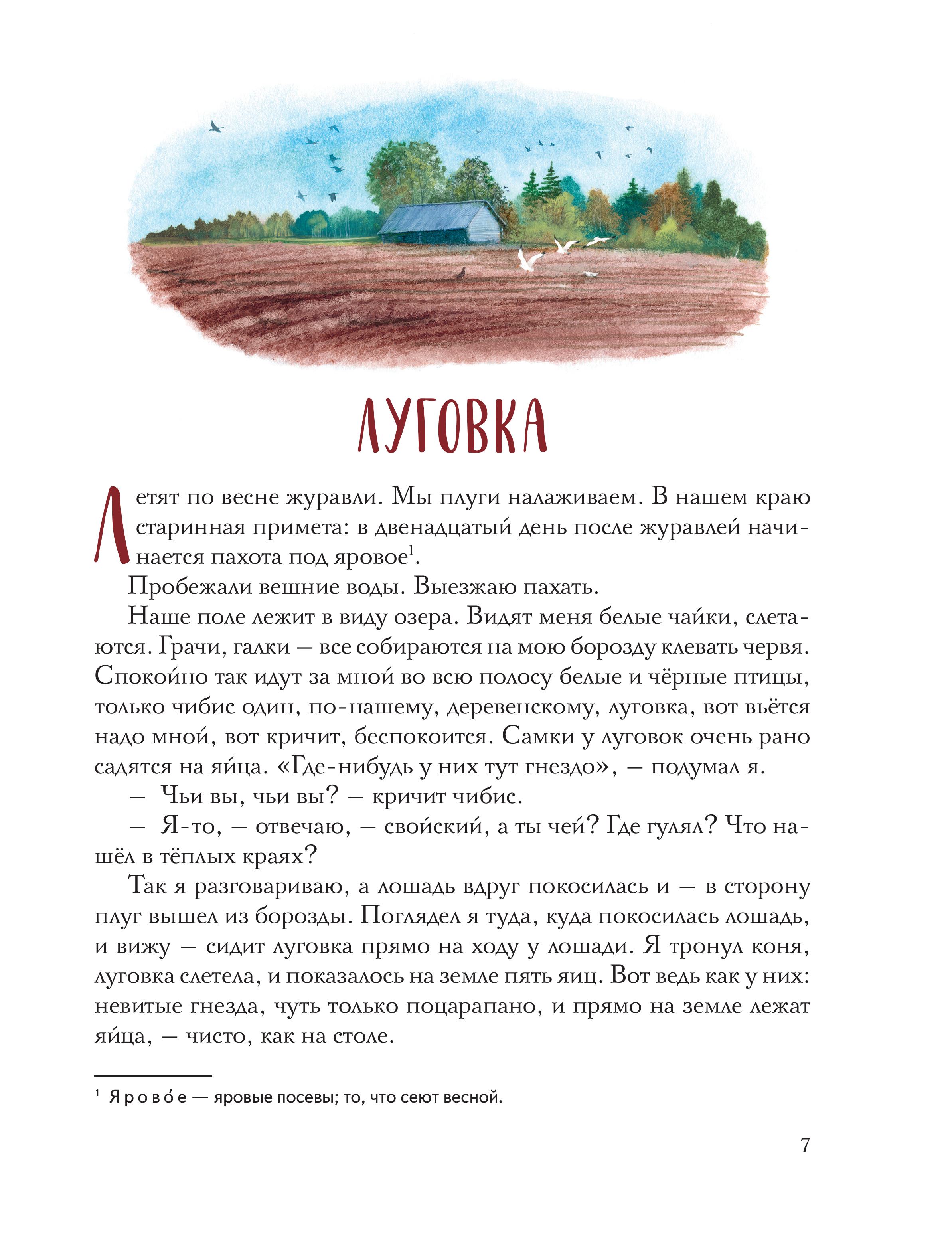 Книга Эксмо Золотой луг. Рассказы о животных (ил. Дударенко) - фото 6