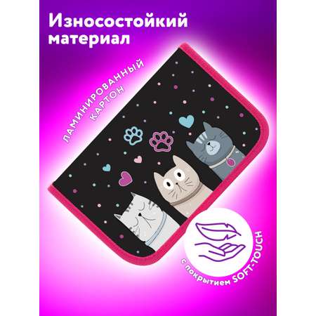 Пенал Юнландия