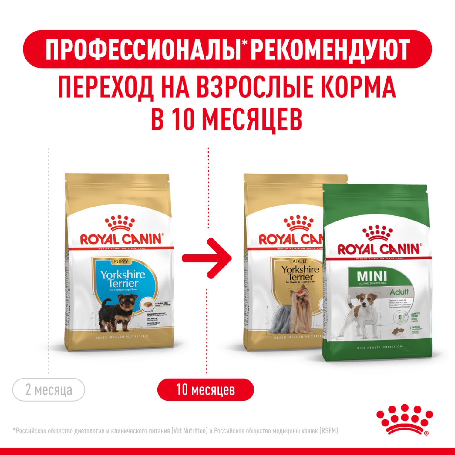 Корм для щенков ROYAL CANIN Yorkshire Terrier Puppy 500г - фото 5