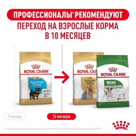 Корм для щенков ROYAL CANIN Yorkshire Terrier Puppy 500г