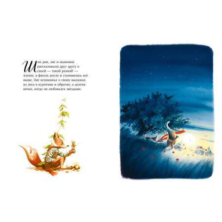 Книга Clever Книжки-картинки