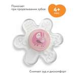 Прорезыватель BabyGo