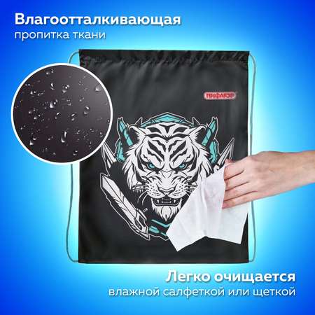 Мешок для обуви Пифагор