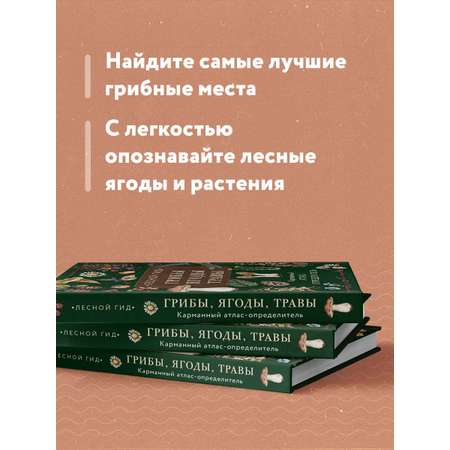 Книга Эксмо Лесной гид: грибы, ягоды, травы. Карманный атлас-определитель