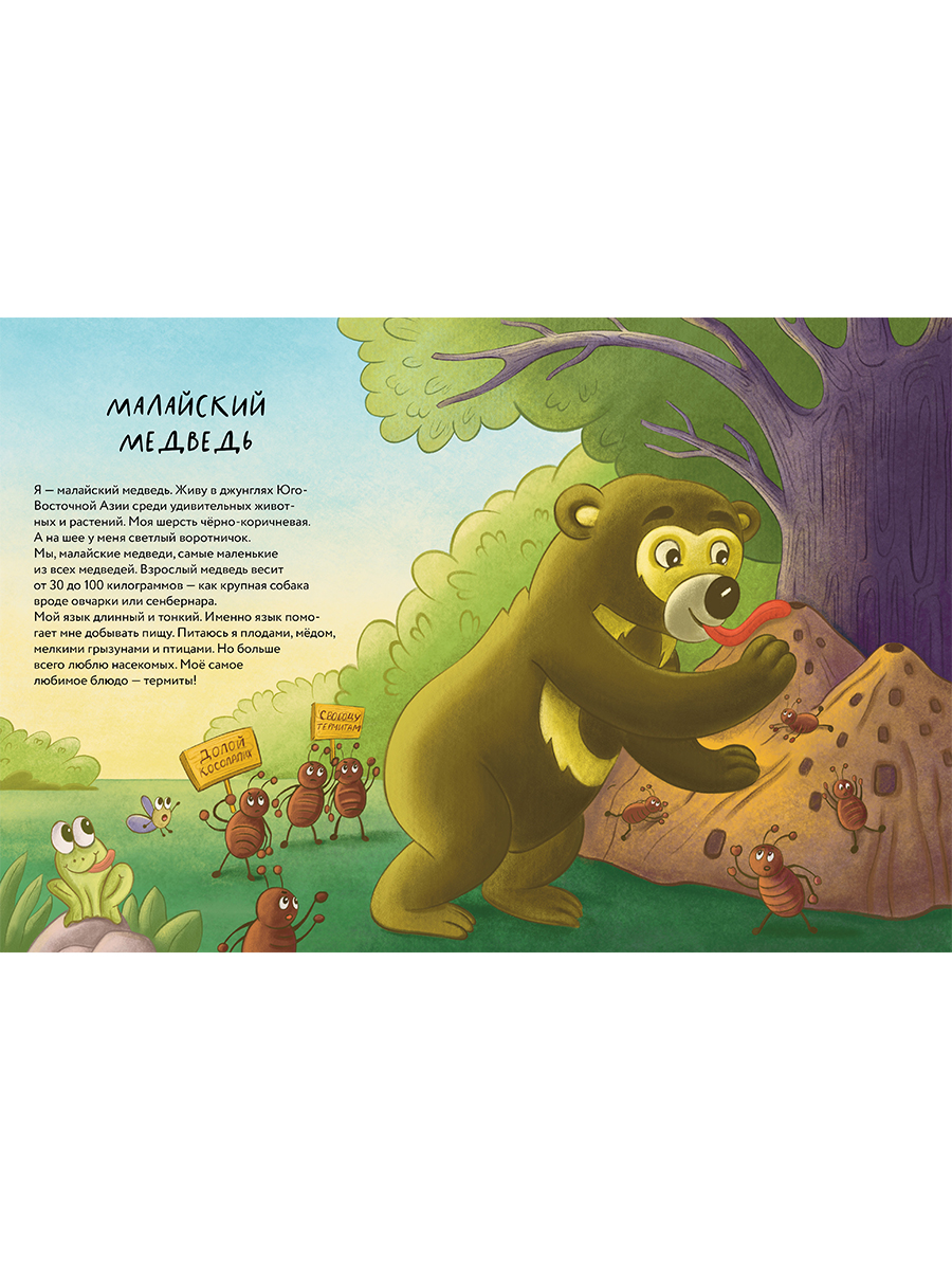 Книга Альпина. Дети Косолапые медведи - фото 3