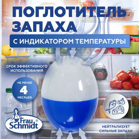 Поглотитель запаха Frau Schmidt для холодильника с индикатором температуры