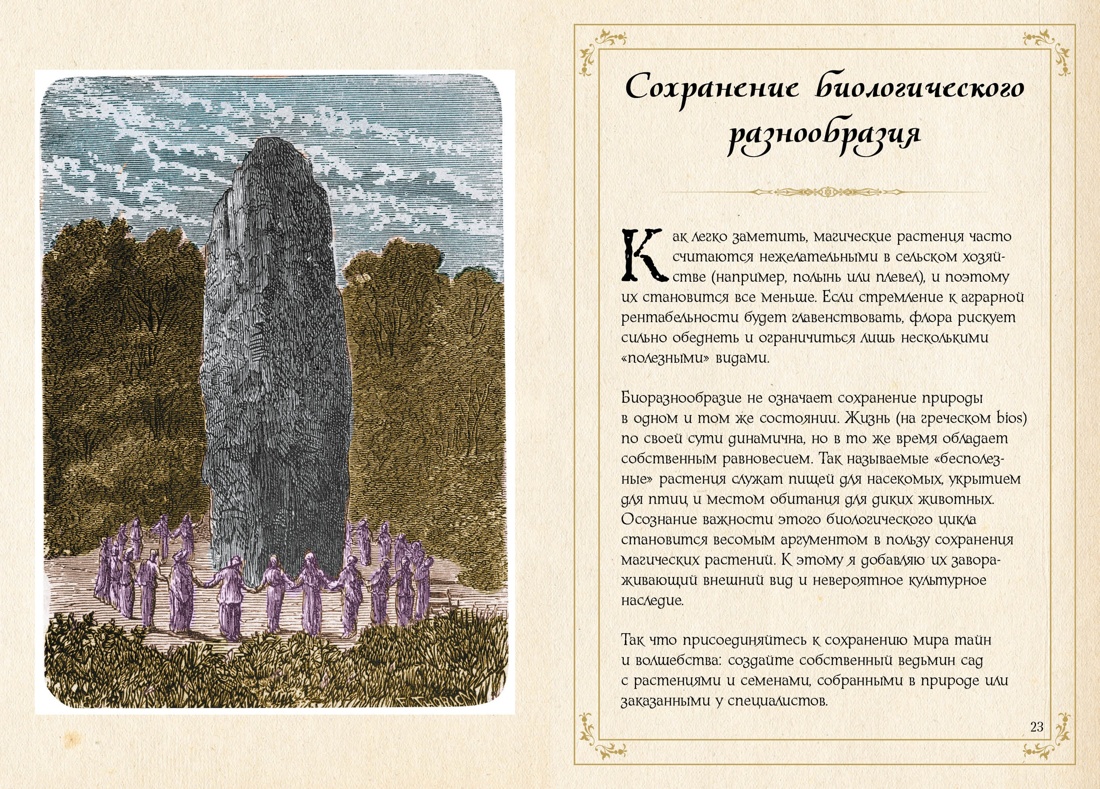Сборный комплект в коробе из 3-х книг КОЛИБРИ Тайные знания магического Средневековья - фото 17