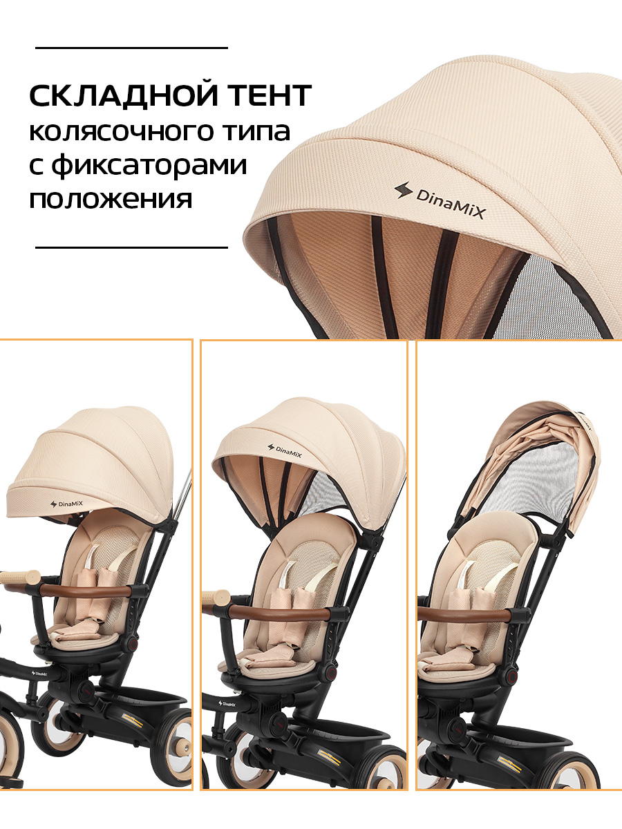 Трехколесный велосипед DinaMiX 10 дюймов - фото 7