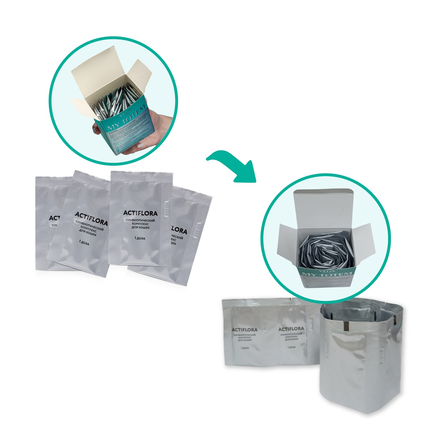 Комплекс для кошек синбиотический Veda My Totem Actiflora мультипробиотик и пребиотик 10г - фото 2