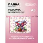 Папка для тетрадей Cancburg А5