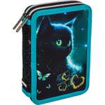 Пенал книжка deVENTE Black Cat
