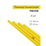 Активная игра FN Plastic Stick 1 м