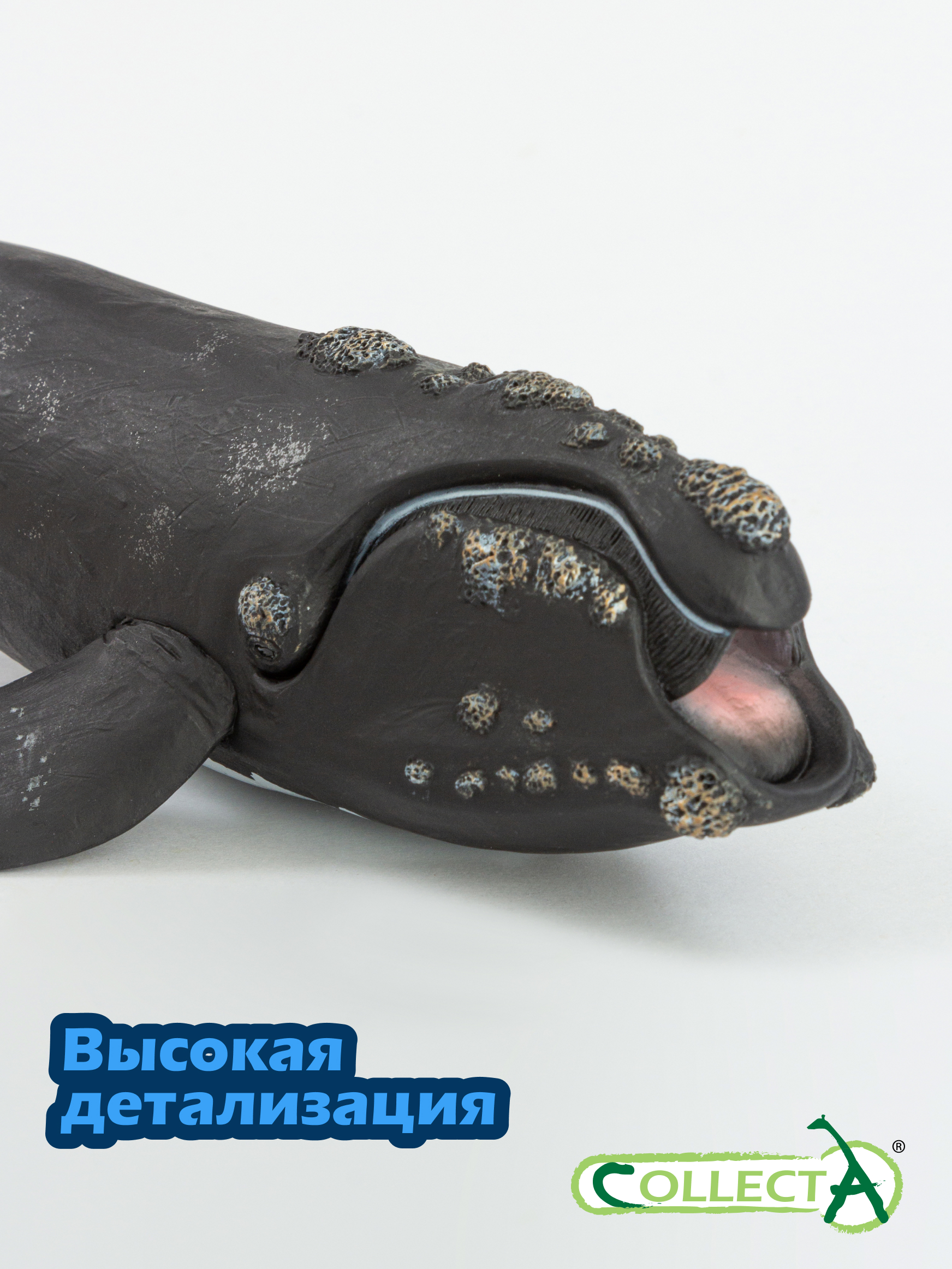 Фигурка Collecta Южный кит - фото 3