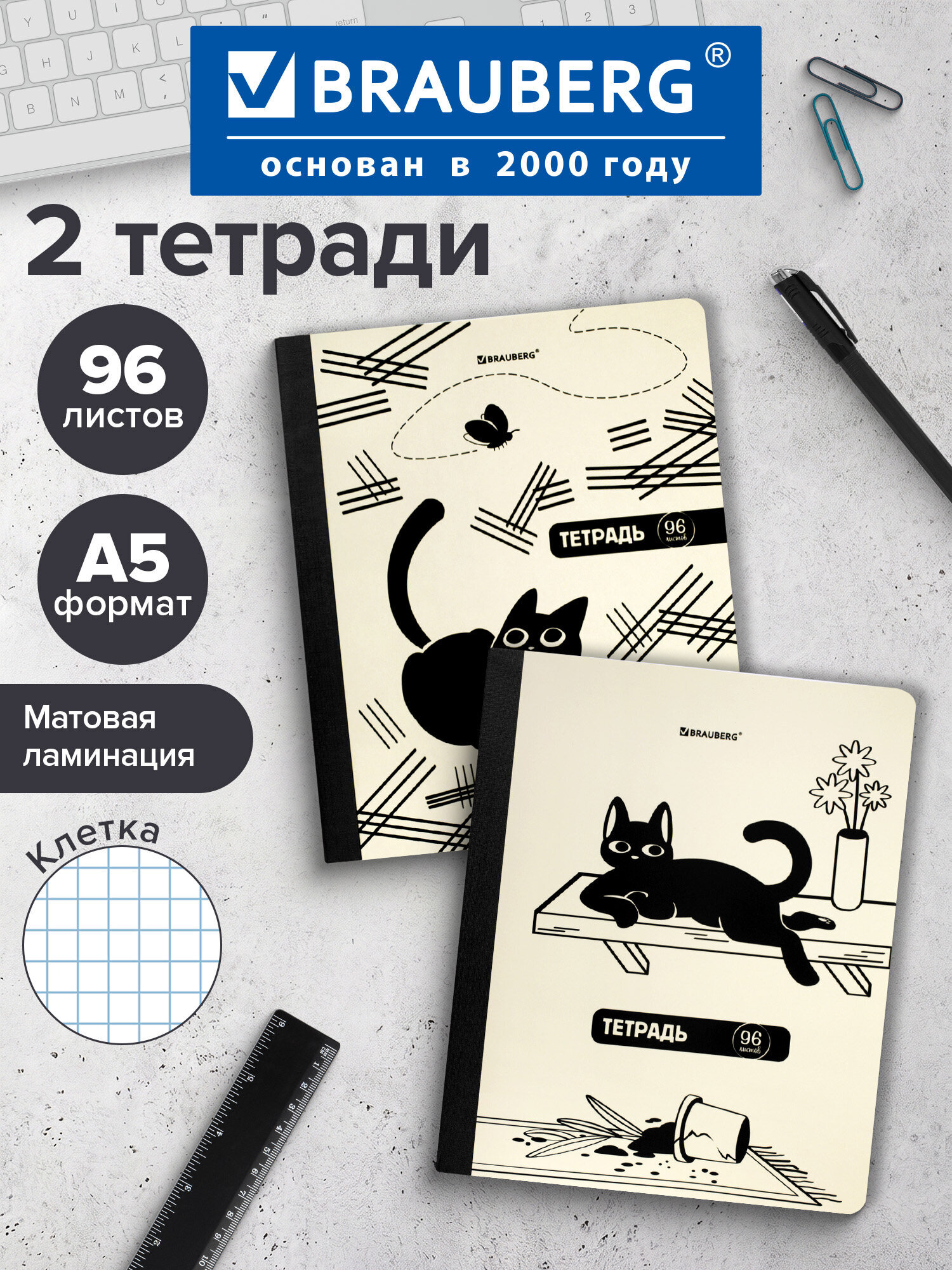 Тетрадь Brauberg клетка 96 лист. 2 шт. - фото 1