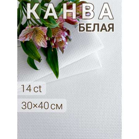 Канва для вышивания Ёвёрра Аида 14