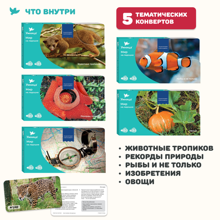 Развивающие игры Умница Мир на ладошке Тигр. Детская энциклопедия в удобном формате