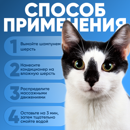Шампунь JIN Rice Protein and Passion