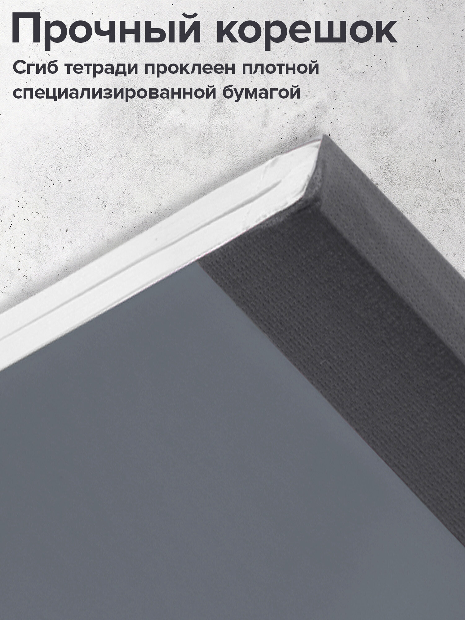 Тетрадь Brauberg клетка 96 лист. 2 шт. - фото 4