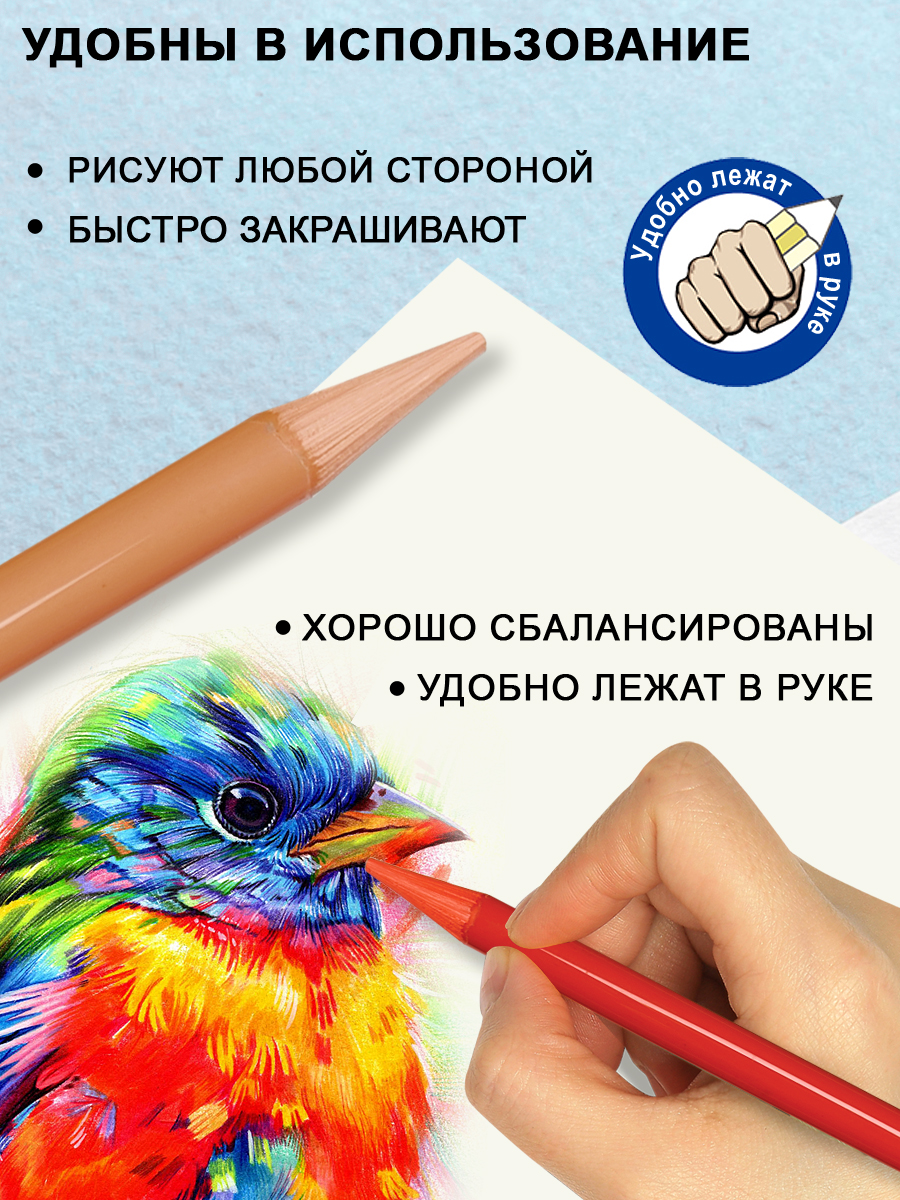 Карандаши ACMELIAE 12 шт. - фото 4