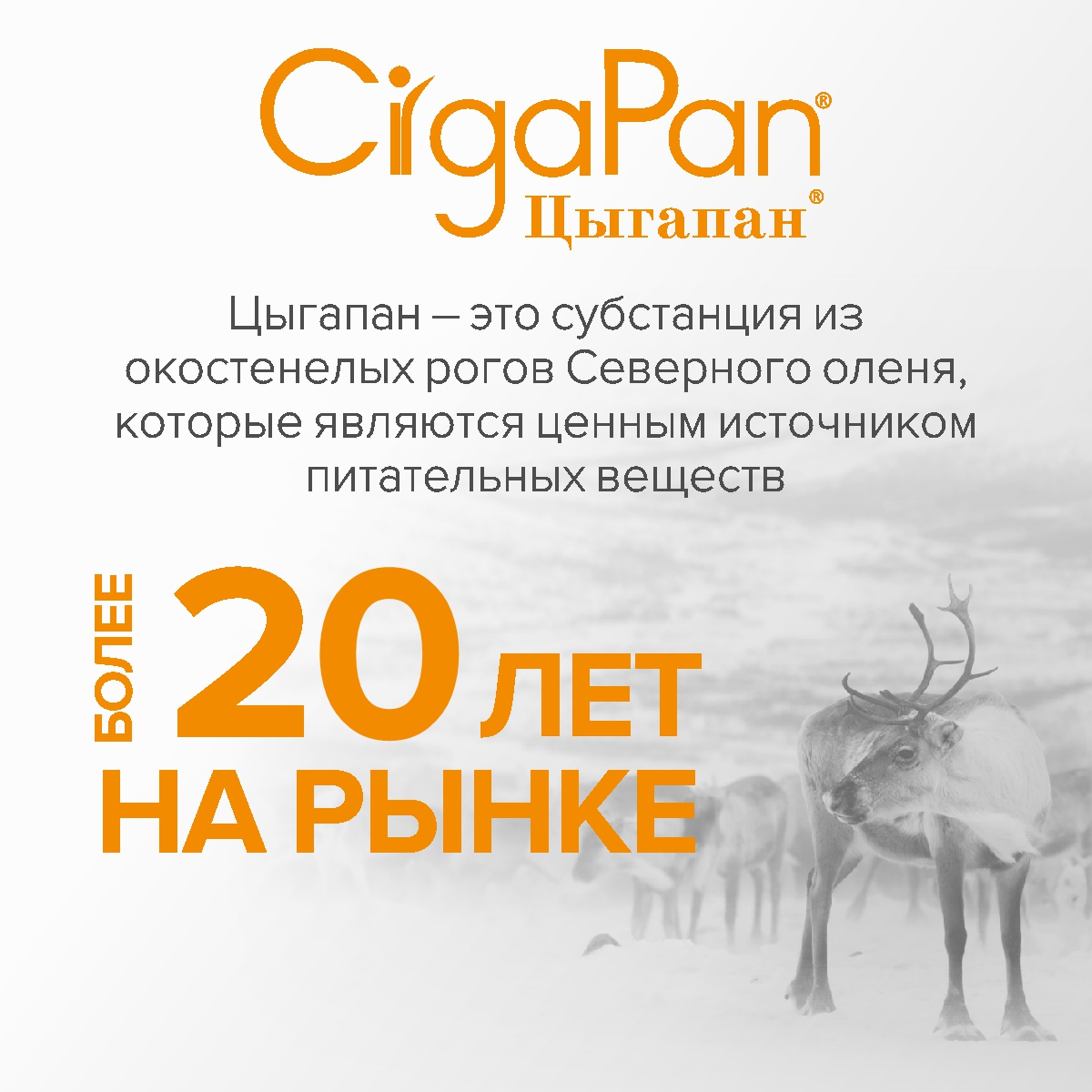 Цыгапан витамины CigaPan Цыгапан 90 капсул 400 мг - фото 10