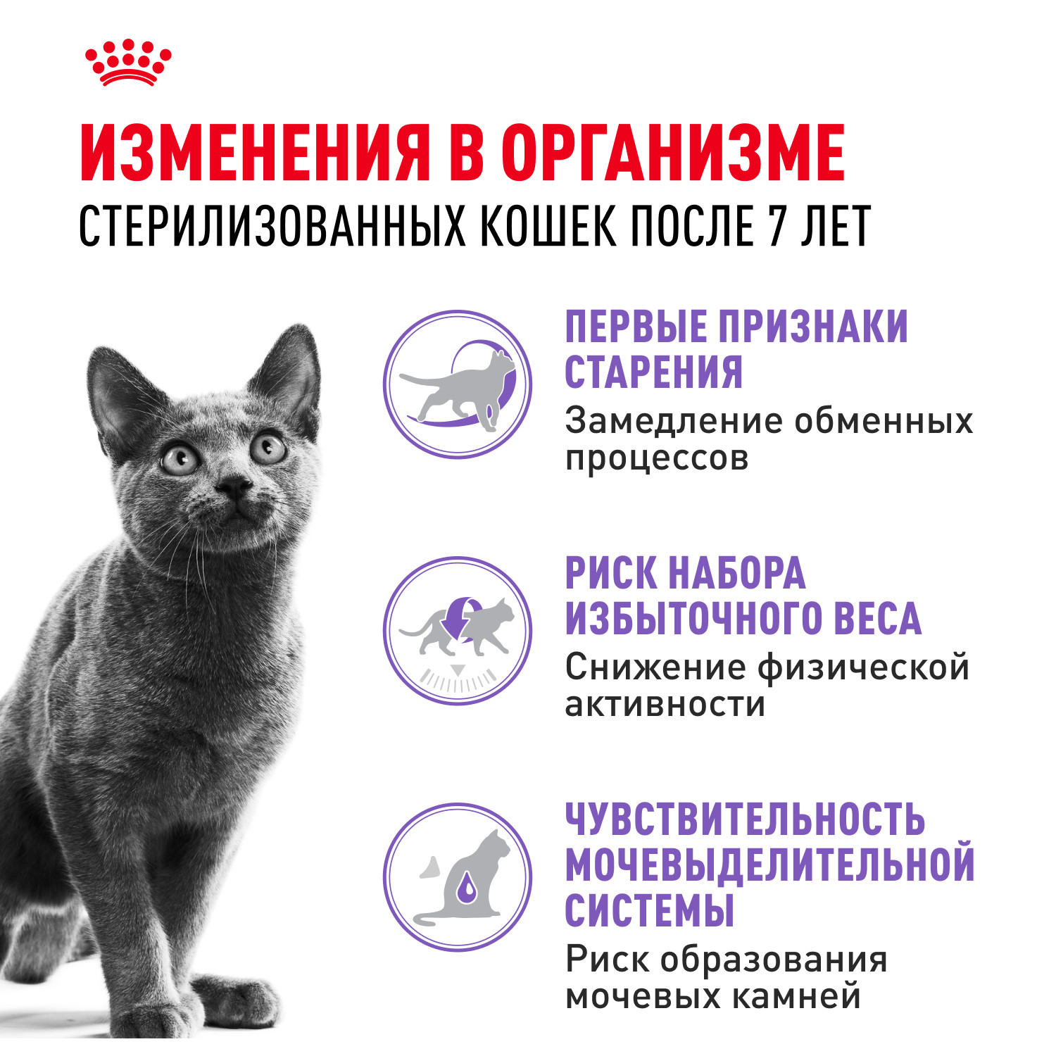 Корм сухой для кошек ROYAL CANIN Sterilised 1.5кг пожилых стерилизованных - фото 2