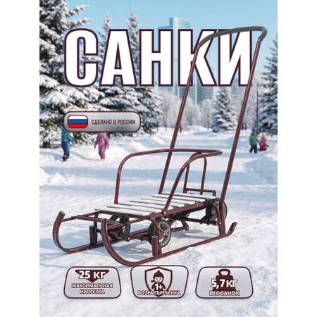 Санки NiKA kids Т6У/К