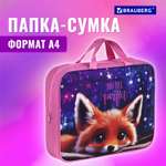 Папка для тетрадей Brauberg А4